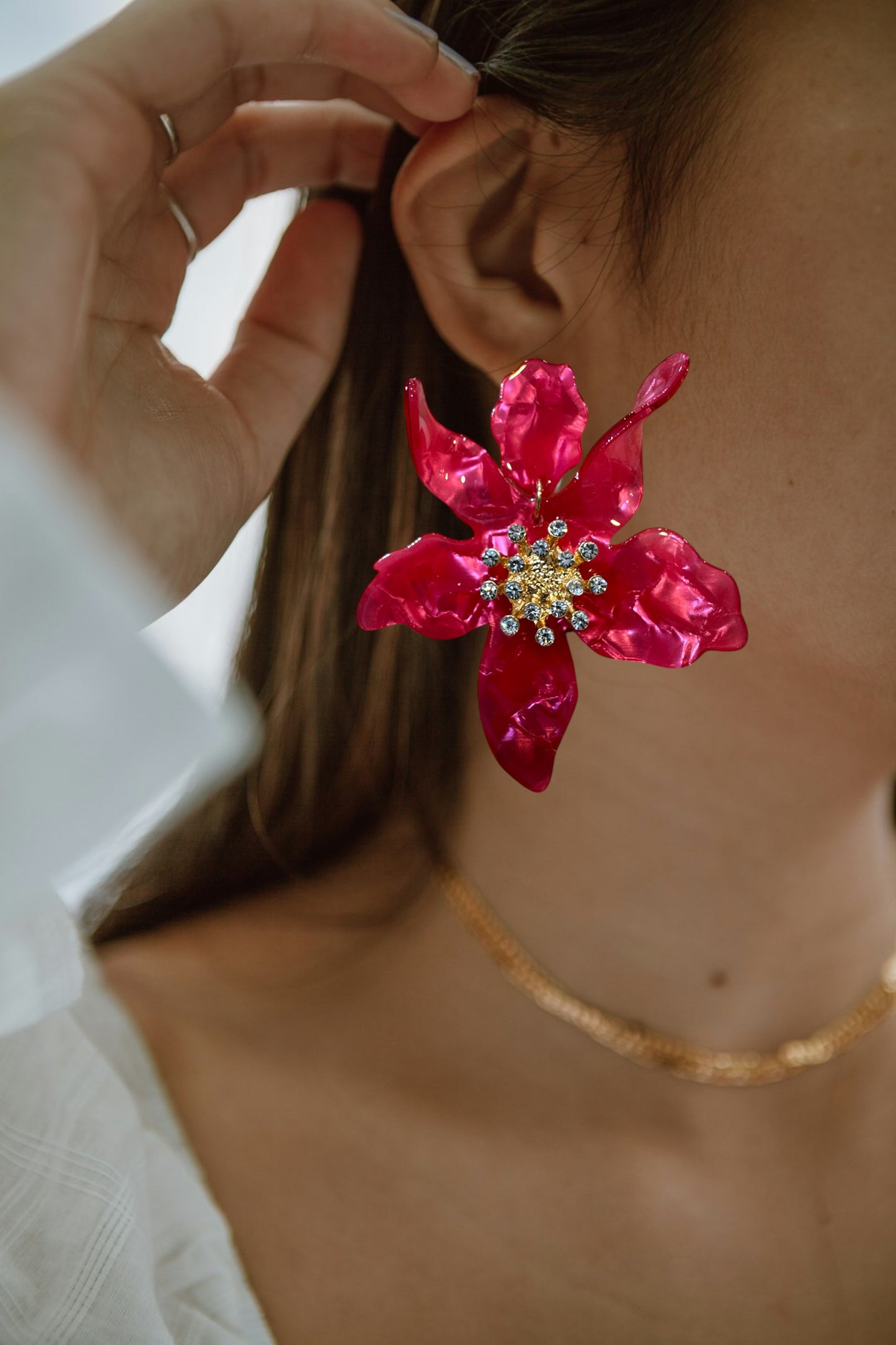Hibiscus