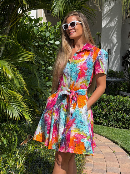 Color Splash Belted Mini Dress